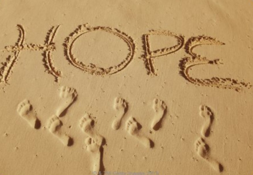 August 2020 Newsletter – What Gives You Hope?